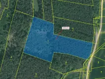 Dražba lesa, Milavče, 9168 m2