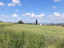 Dražba louky, Slavkov, 8978 m2