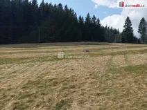 Prodej pozemku pro bydlení, Zdíkov - Masákova Lhota, 6036 m2