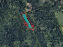 Prodej podílu lesa, Dlouhomilov, 1463 m2