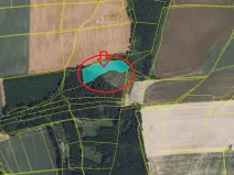 Prodej lesa, Vysoké Mýto, 5791 m2