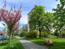 Prodej bytu 2+1, Praha - Záběhlice, Jasmínová, 56 m2