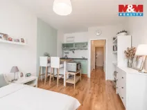 Prodej bytu 1+kk, Praha - Braník, Nad lesním divadlem, 27 m2