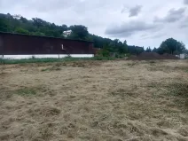 Pronájem zahrady, Plzeň, Pod Vinicemi, 1001 m2