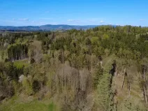 Prodej lesa, Loužnice, 5723 m2