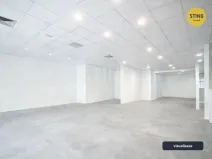 Pronájem obchodního prostoru, Ostrava, Denisova, 220 m2