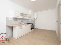 Pronájem bytu 1+1, Ostrava, Newtonova, 41 m2