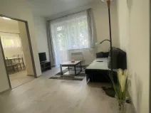 Pronájem bytu 3+1, Brno, Renneská třída, 42 m2