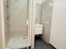 Pronájem bytu 3+kk, České Budějovice, Dobrovodská, 62 m2