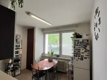 Pronájem bytu 2+1, Bučovice, Vyškovská, 54 m2