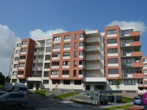 Pronájem garážového stání, Olomouc, Edvarda Beneše, 13 m2