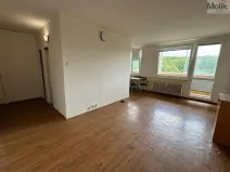 Pronájem bytu 1+1, Most, Brněnská, 33 m2