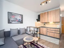 Pronájem bytu 1+kk, Ústí nad Labem, Větrná, 20 m2