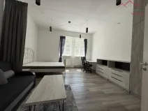 Pronájem bytu 1+1, Chomutov, Školní, 41 m2