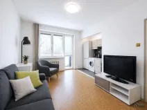 Prodej bytu 1+kk, Ostrava, Resslova, 27 m2