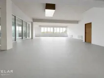 Pronájem obchodního prostoru, Hlučín, Cihelní, 167 m2