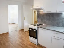 Pronájem bytu 1+1, Kolín - Kolín V, Mlýnská, 40 m2