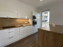 Pronájem bytu 2+kk, Brno - Královo Pole, Kollárova, 85 m2