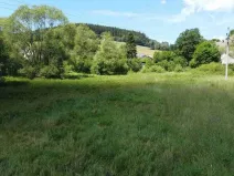 Prodej pozemku, Hartmanice, 501 m2