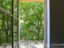 Pronájem bytu 2+kk, Praha - Vinohrady, Mánesova, 46 m2