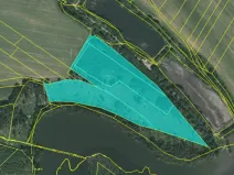 Prodej lesa, Chotoviny, 35440 m2