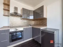 Pronájem bytu 2+1, Plzeň - Litice, Klatovská, 40 m2