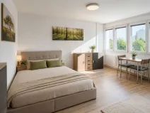 Prodej bytu 1+kk, Hradec Králové - Slezské Předměstí, Severní, 27 m2