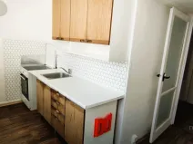 Pronájem bytu 1+1, Brno - Lesná, Brožíkova, 38 m2