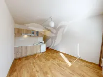 Pronájem bytu 1+kk, Horní Bříza, U Vrbky, 24 m2