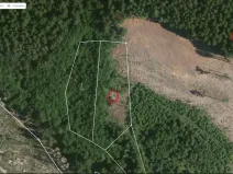 Prodej lesa, Načeradec - Horní Lhota, 3382 m2