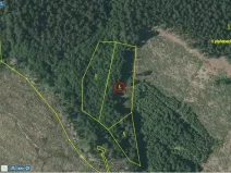 Prodej lesa, Načeradec - Horní Lhota, 3382 m2