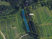 Dražba lesa, Spešov, 1009 m2