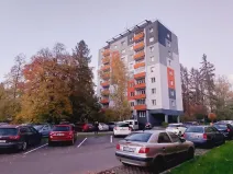 Pronájem bytu 1+kk, Valašské Meziříčí - Krásno nad Bečvou, Růžová, 24 m2