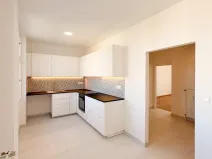 Pronájem bytu 2+kk, Praha - Vinohrady, Záhřebská, 19 m2