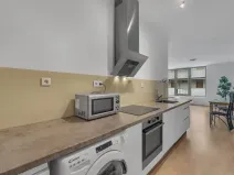 Pronájem bytu 1+kk, Hradec Králové, Kollárova, 46 m2