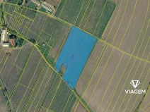 Prodej podílu pole, Chotiněves, 12275 m2