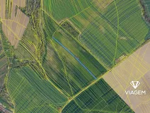 Prodej podílu pole, Babice, 1710 m2