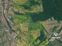 Prodej podílu pole, Velká nad Veličkou, 4729 m2