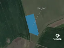 Prodej pole, Cholenice, 17822 m2