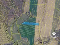 Prodej pole, Dobrkovice, 6868 m2