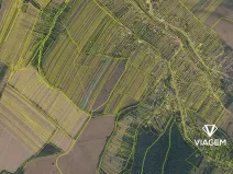 Prodej podílu pole, Radějov, 1658 m2