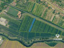 Prodej pole, Drslavice, 2172 m2