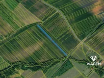 Prodej pole, Loukov, 3775 m2