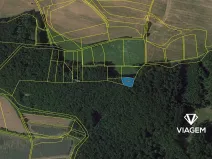 Prodej lesa, Dolní Bousov, 845 m2