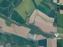 Prodej lesa, Bravantice, 8844 m2