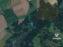 Prodej lesa, Hradiště, 10326 m2