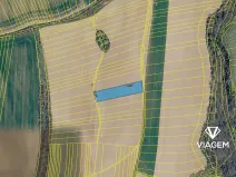 Prodej pole, Žeravice, 3824 m2