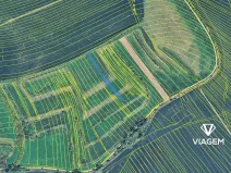 Prodej pole, Nosislav, 1656 m2