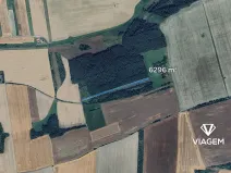 Prodej podílu lesa, Nové Strašecí, 3148 m2