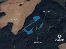 Prodej podílu lesa, Libovice, 2324 m2